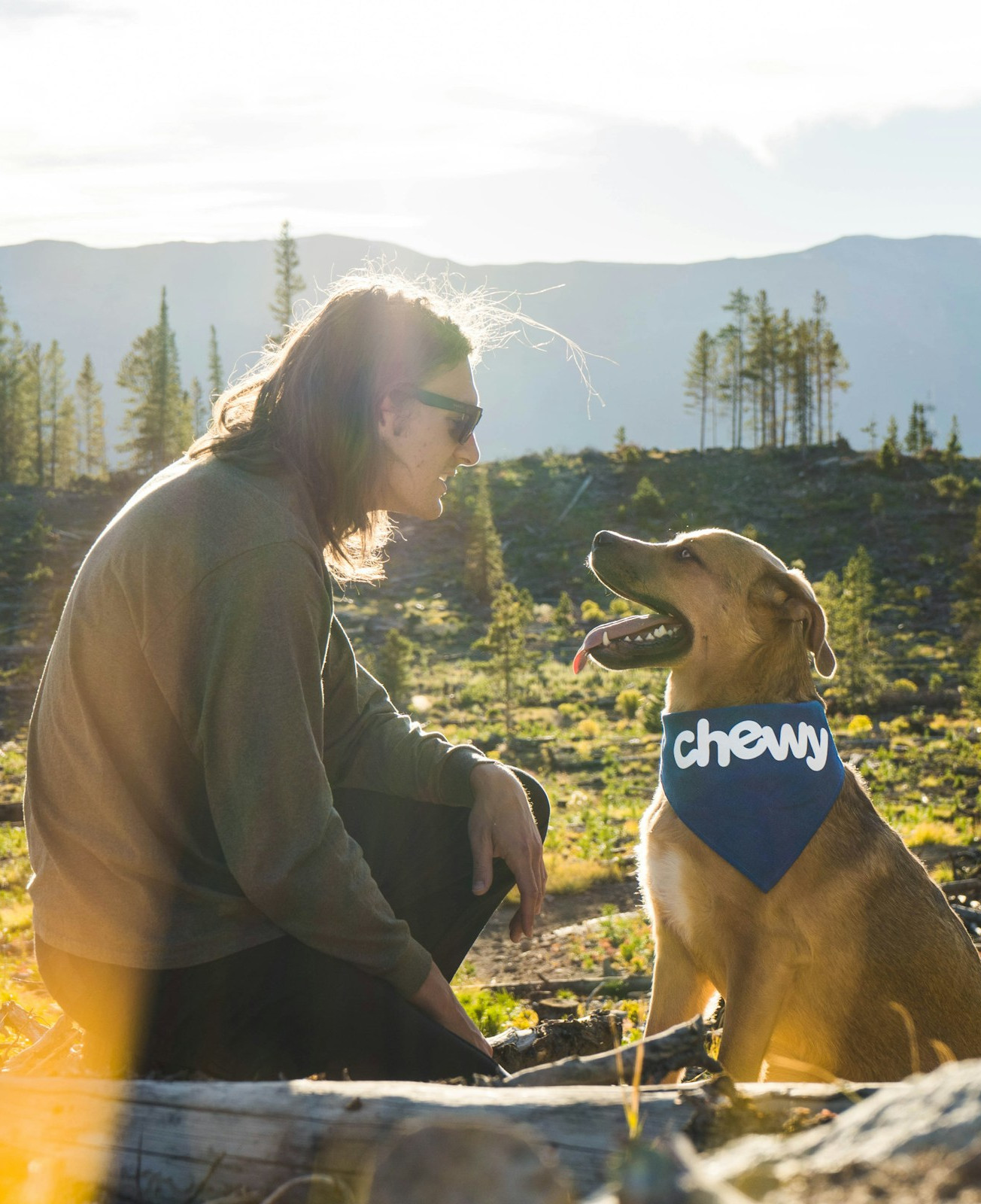 Picture of a happy dog holding a ball in its mouth.